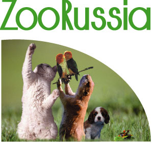 ZooRussia Зоо Россия 2010