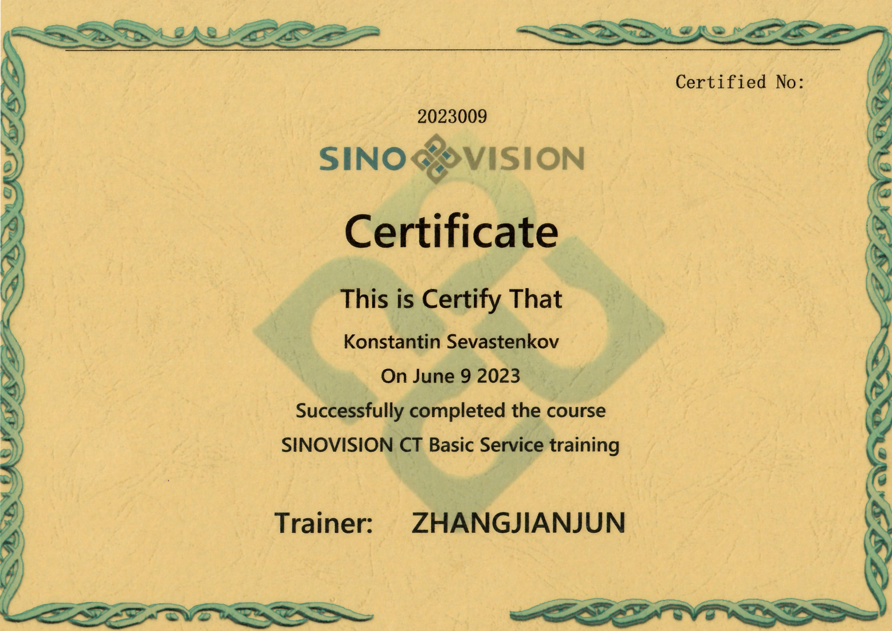   SinoVision