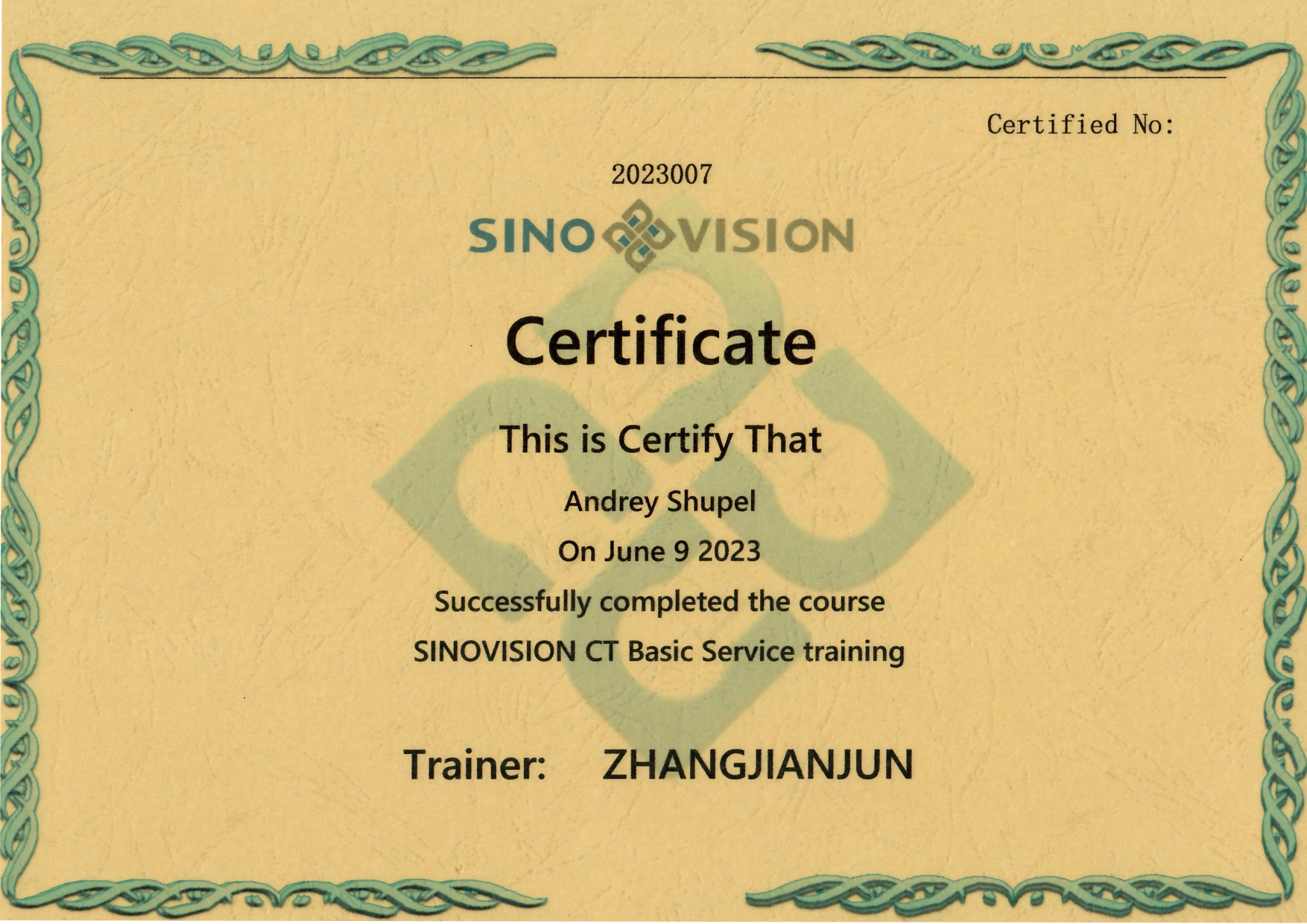   SinoVision
