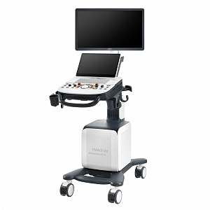 ��� ������ � ������� ��������  Mindray Vetus 30