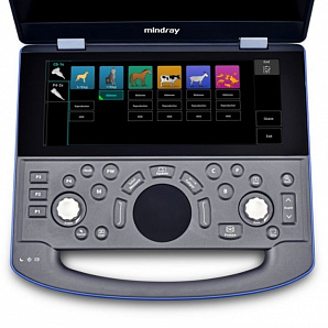 Портативный УЗИ-сканер с цветным доплером Mindray Vetus E7