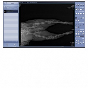 Переносная ветеринарная рентгеновская DR система EcoRay EcoView