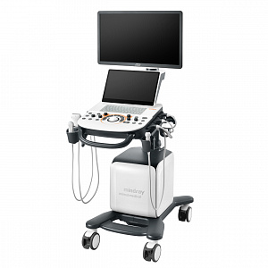 ��� ������ � ������� ��������  Mindray Vetus 30