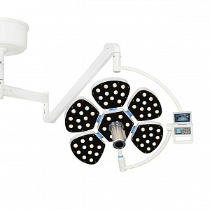 ������������ ���������� ������������� ���������� � ������� � ������� �������� Zoomed LED700