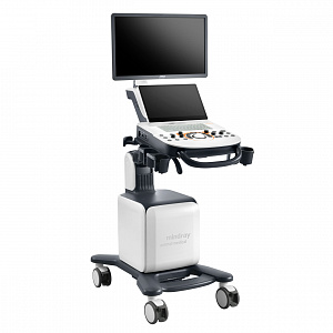 ��� ������ � ������� ��������  Mindray Vetus 30
